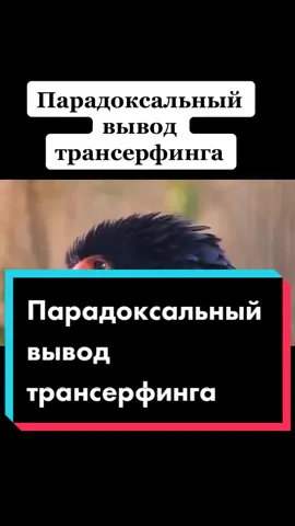 Парадоксальный вывод трансерфинга #трансерфинг #разум #вадимзеланд #мотивация#успех #любовьксебе