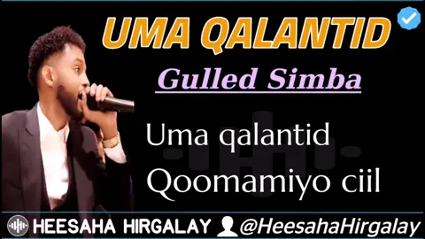 Uma Qalantid - Gulled Simba #heesahahirgalay guled simba #gulledsimba #guuleedsimba #heesjaceyl #hees #jaceyl #somalitiktok #somalimusic #umaqalantid