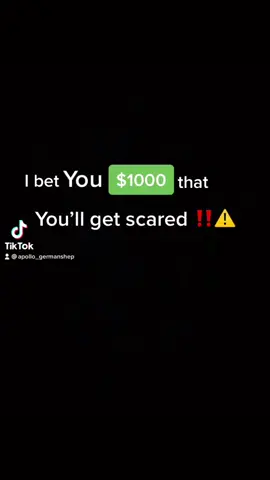 #fyp #germansherpherd #viral #$1000