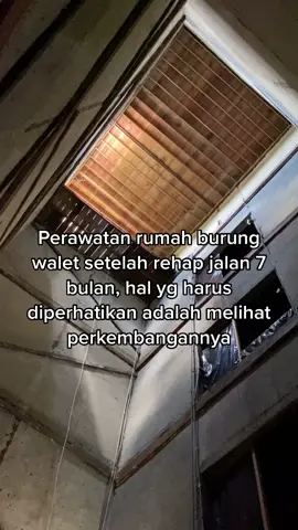 Alhamdulillah mulai bersarang pelan-pelan, semua butuh proses. Kuncinya bersabar, tpi perlu mengatasi kekurangannya, berdoa agar selalu dilancarkan