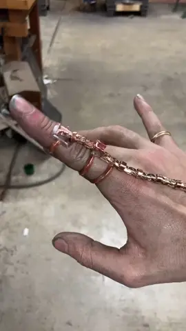 🦂 #aerarius #jewelry #fyp