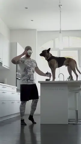 Don’t get boring @julius.k9.the.original  #hunde #hundetraining #hund #DogTraining #malinois #belgianmalinois #tiktokdoggies #juliusk9 #dog #k9unit