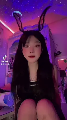 이상한 나라의 시로