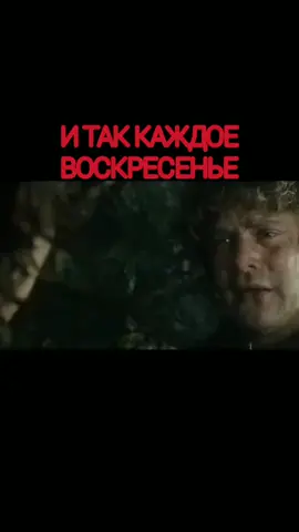 О наболевшем)))#юмор #рек #приколыдослёз #работа