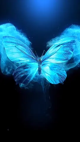 #wallpapers#livewallpaper#wallpapervideo#fyp