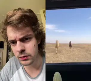 #duet with @xiaomu_1 cool video bro 👍 😡🤬👿 #desmond_craddock_ #xyzbca #comedyuk #scarcam #foryou #fyp #foryoupage #camel