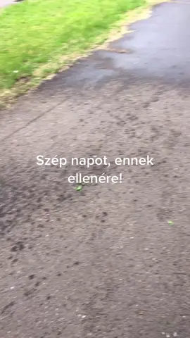 #nekedbe