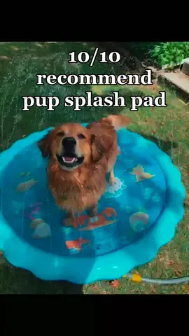 Cooper recommends the pup splash pad 🌊 #goldenretrieverlife #goldenhour #splashpad #happydog #fyp #dogsofmichigan #Summer #splishsplash #viral #swim