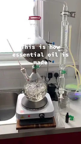 Alchemy 101: extracting the soul of a plant. #alchemytok #fyp #alchemy #essentialoil #distillation #herbalism #plantmagic #modernalchemy