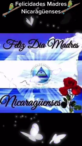 Bendecido Día Madres Nicaragüenses 🌹❤️🇳🇮🙏🏻#parati #fypシ #diadelasmadres2021 #nicas #tiktoknicaragua