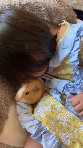 Loves her guinea pig #bestfriendscheck #bestfriendgoals #fy #trend #trending #toddlersoftiktok #bestfreind