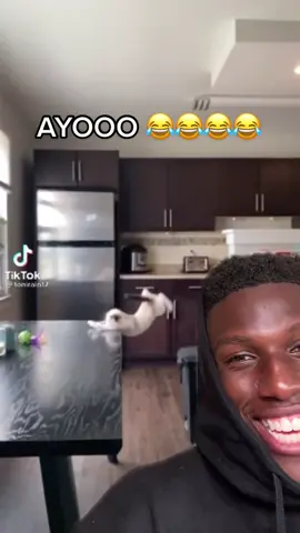 Excuse my laugh but this video is a masterpiece LMAOOOO 😂😂😂😂 #hamilt0njr #greenscreenvideo