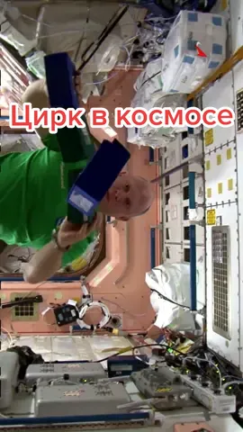 #Цирк в космосе 2 #космос #space #мкс #iss #космонавт #ОлегАртемьев