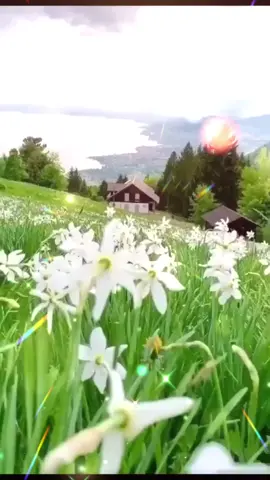#утро  #удачи #пожелания