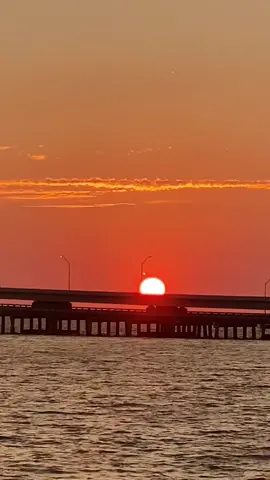 Week in Tampa🌅                                               #fyp #florida