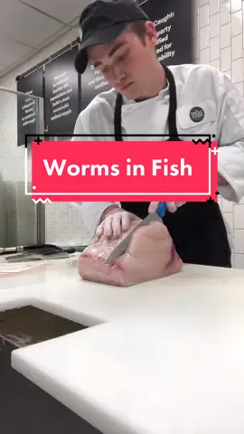 Yum extra protein #fyp #foryou #fishtok #seafood #swordfish #worms
