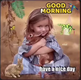 #صباح_الخير #GoodMorning