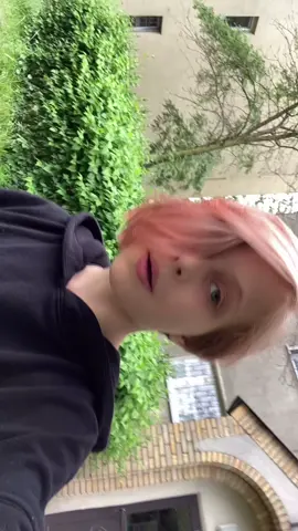 They/he