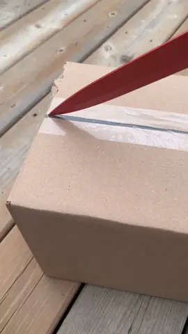10 pc TIKTOK set! Ahhh