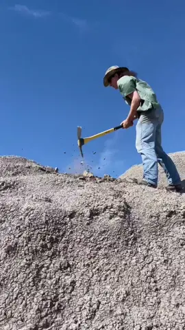 starting to remove a massive amount of overburden to uncover this site. #paleontology #cretaceous #hellcreek