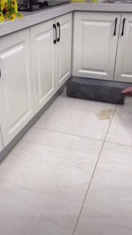 2in1 Kitchen Mat Set