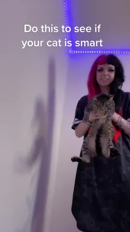#smartcat