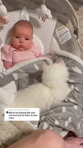 Reply to @atinysneeze  Explaining making biscuits to my daughter