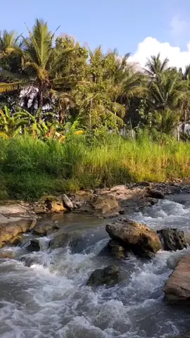 buat kalian yg sk alam  sy kasih videonya.. asli tnp sound biarkan alam yg menunjukan pesona nya..