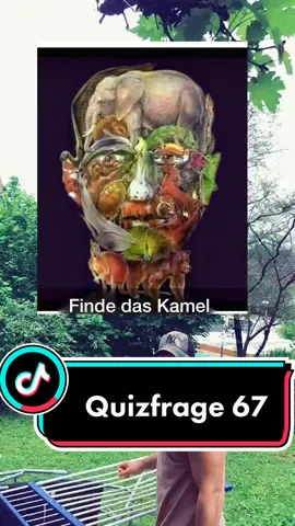 Wer findet das Kamel?🤔
