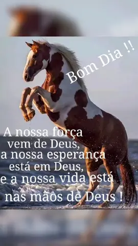 #bomdia #cavalocrioulo #bailaoclandestino #gaucho #Deus
