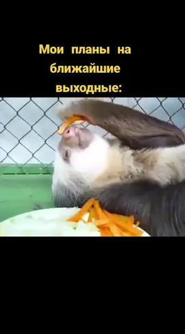 #рекомендации #тишиныхочу