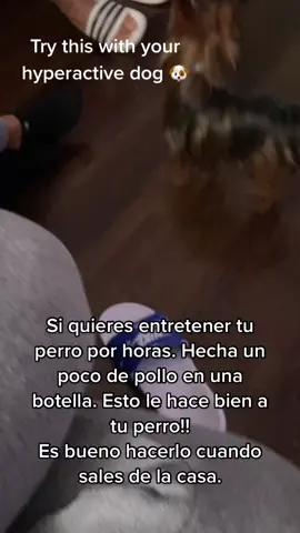 Si tienes un perro imperativo. Trata esto. Va hacer que tu perro use su cerebro para sacar la carne del pote. #viral #fypシ #foryou #dog