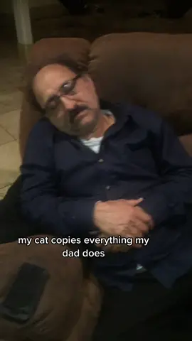 Cat dad #catsoftiktok #catlover #cattok #MACscaraface #dadmoves