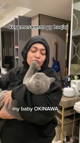ini nih yg suka ngabisin daging sama ayam wkwkkwkw. makanya badannya mbuletttt 🐈🐈