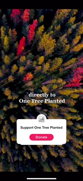 Let’s make a difference together @onetreeplanted  💧🌱🙏 Link in bio #treetok #CreativityForGood #ad