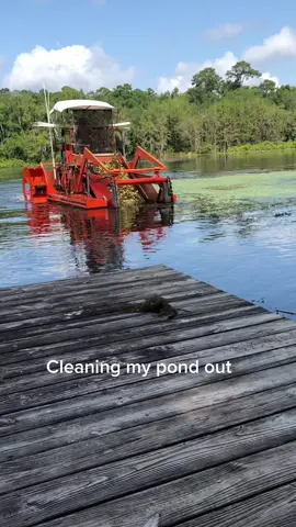 #lake #pond #lakeckeanup #algae
