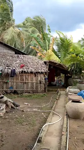 Giông gió kinh thiệt, bay luôn mái nhà ròi😰#bếntre #tiềngiang #mưa #bão #giôngbão #mưamientay #lốc