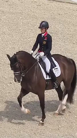 Charlotte Dujardin & Valegro siegen 2014 im deutsche Bank Preis 🤩 Welches Dressurpferd würdet ihr gerne mal bei uns reiten? ⬇️💕#chioaachen #dressage
