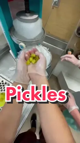 Reply to @lulumakesflicks @dylan.jhamilton @destinylemay01 #pickles
