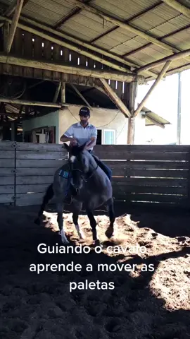 #redeas #caballos #doma #polo #vaquejada #criollos #reiners #rural #domadores #vaquero #poloteme #viral