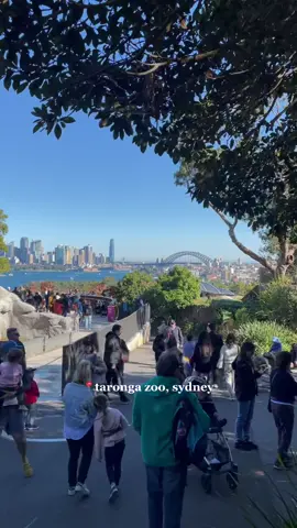 Cute date to see the animals at Taronga Zoo, Sydney with @ariellowell #tarongazoosydney #dateideas #sydney #animals #zoo