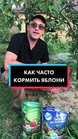 КАК ЧАСТО КОРМИТЬ ЯБЛОНИ #огород #жизньзагородом #садогород #дачныесоветы #саддачаогород #сад