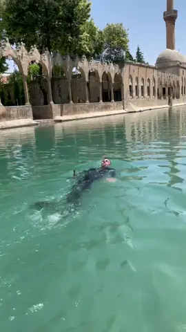 Urfa balıklı gölde temizlik zamanı ✨🙏🏻