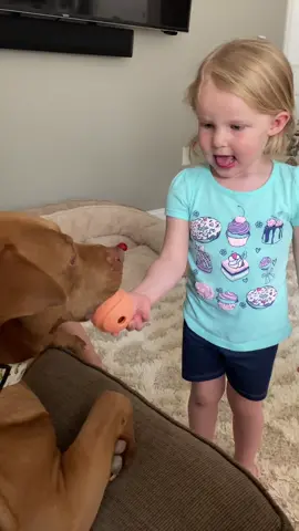 Fetch, I fink.