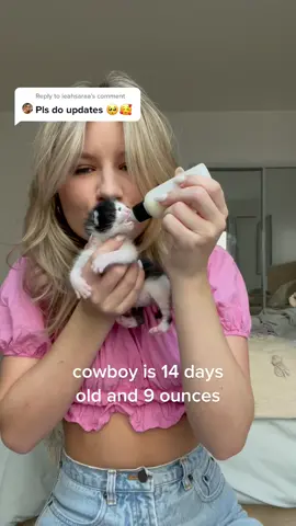 Reply to @leahsaraa cowboy update part 2! 🤍