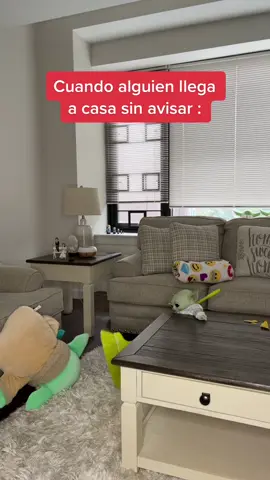 Modo flash activado ... 🥲🧹🧽🧼 #babyyoda #grogu #humor #comedia #limpiando #visitasinesperadas #sisoy #LifeIsGood