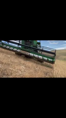 #fypシ #Johndeere #hillsidewheatfarming #palouse #Wheat #Harvest2021 #Twillfarms @growincorn2020