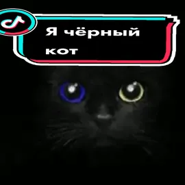 #SuperfoodGarnier #эдиты #Фанклубкотик #fanclub_cat#Фанклуб