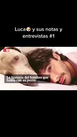 Voy a ir montando poco a poco las entrevistas de Luca ❤️🙏 #parati #Love #dog #pet #fyp #foryou #viral #foryoupage #xyzbca #mascotas #doglover