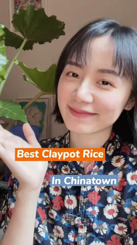 #nycrestaurantreviews #chinatownnyc #nycfood #chinesefood #newyorkfoodies
